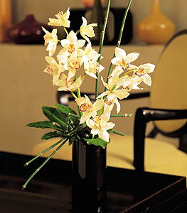  Kocaeli anneler günü çiçek yolla  cam yada mika vazo içerisinde dal orkide