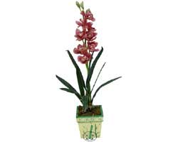 zel Yapay Orkide Pembe   Kocaeli Gebze yurtii ve yurtd iek siparii 