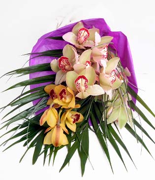  kaliteli taze ve ucuz çiçekler  1 adet dal orkide buket halinde sunulmakta