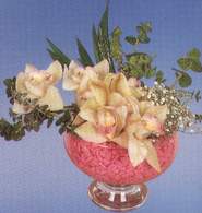  çiçek yolla  Dal orkide kalite bir hediye