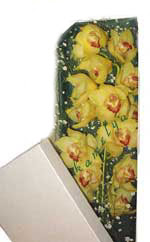  Kocaeli internetten çiçek satışı  Kutu içerisine dal cymbidium orkide