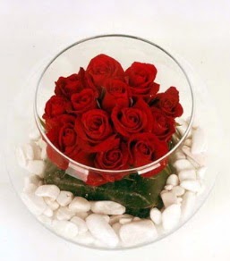 Cam fanusta 11 adet kırmızı gül  Kocaeli internetten çiçek satışı 
