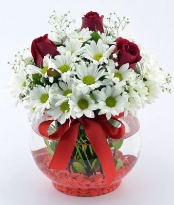 Fanusta 3 Gül ve Papatya  14 şubat sevgililer günü çiçek 