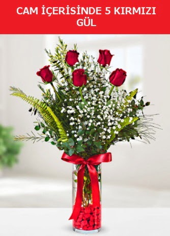Cam içerisinde 5 adet kırmızı gül  Kocaeli uluslararası çiçek gönderme 