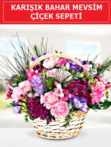 Karışık mevsim bahar çiçekleri  Kocaeli online çiçek gönderme sipariş 