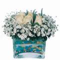 mika ve beyaz gül renkli taslar   Kocaeli internetten çiçek siparişi 
