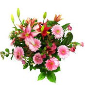lilyum ve gerbera çiçekleri - çiçek seçimi -  Kocaeli internetten çiçek satışı 