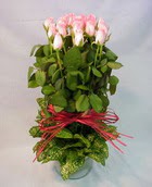 13 adet pembe gül silindirde   çiçek siparişi sitesi 