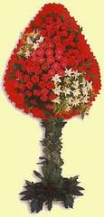  Kocaeli internetten çiçek satışı  dügün açilis çiçekleri  Kocaeli İnternetten çiçek siparişi 