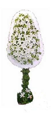  Kocaeli uluslararası çiçek gönderme  nikah , dügün , açilis çiçek modeli  Kocaeli çiçek servisi , çiçekçi adresleri 