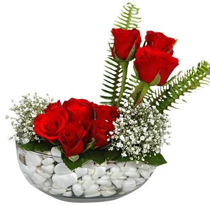 cam içerisinde 9 adet kirmizi gül  çiçek online çiçek siparişi 