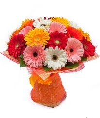 Renkli gerbera buketi  Kocaeli online çiçekçi , çiçek siparişi 