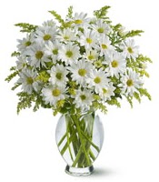 Vazo içerisinde beyaz krizantem çiçekleri  Kocaeli cicekciler , cicek siparisi 