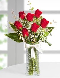 Cam vazoda 7 adet kırmızı gül  Kocaeli çiçek siparişi vermek 