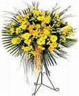  Kocaeli çiçek satışı  Sari kazablanka Ferforje