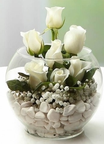 Beyaz Mutluluk 9 beyaz gül fanusta  Kocaeli uluslararası çiçek gönderme 